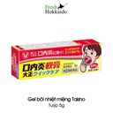 Gel bôi nhiệt miệng Taisho - Tuýp 5g
