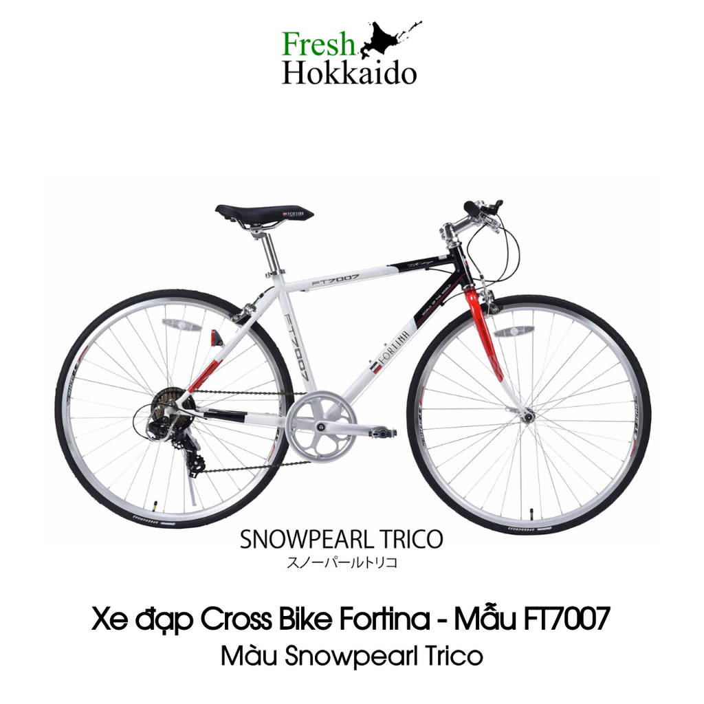 Xe đạp Cross Bike Fortina - Mẫu FT7007 - Snowpearl Trico